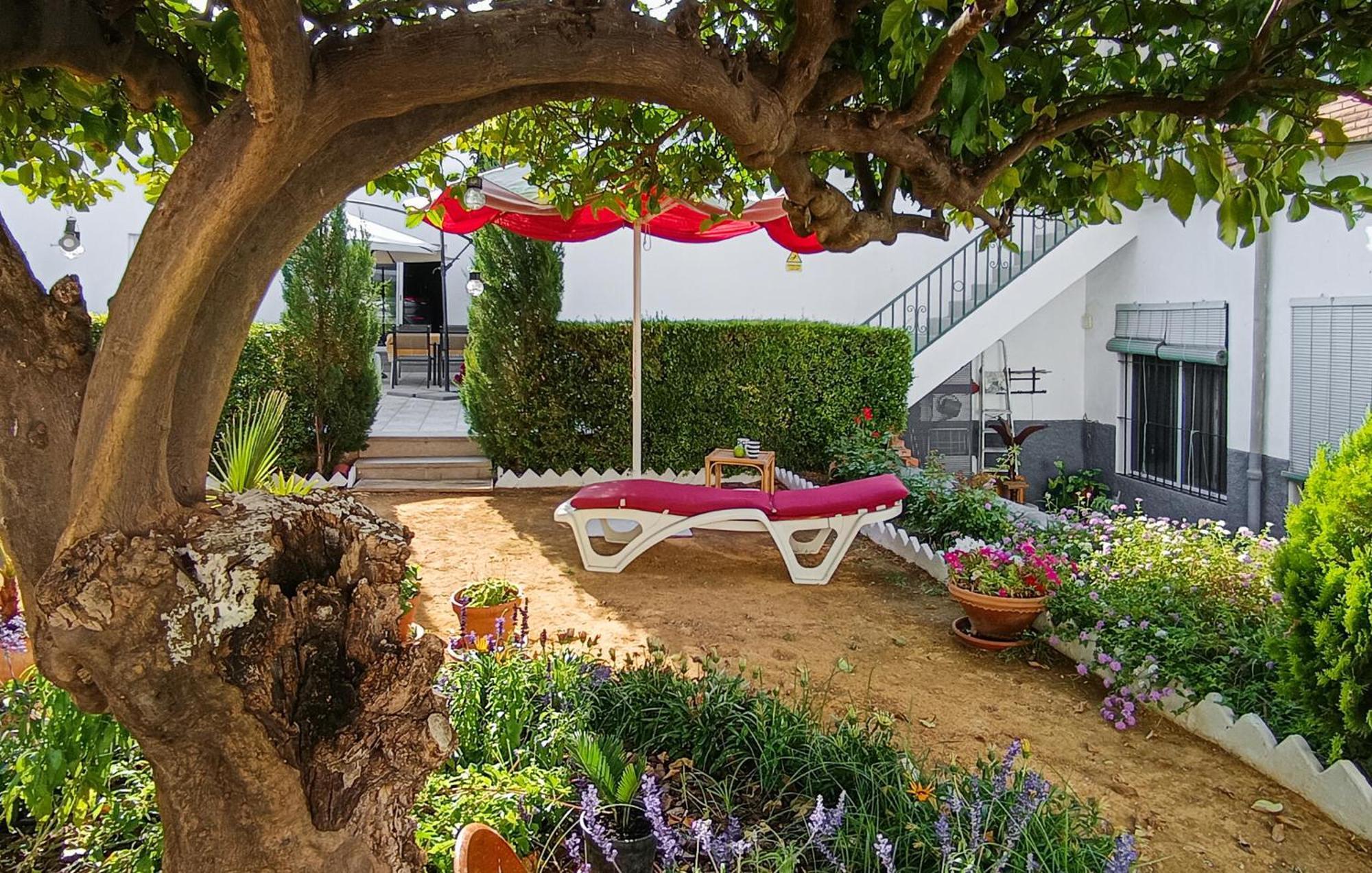 La Casa Del Limonero Apartment Peñaflor Екстериор снимка